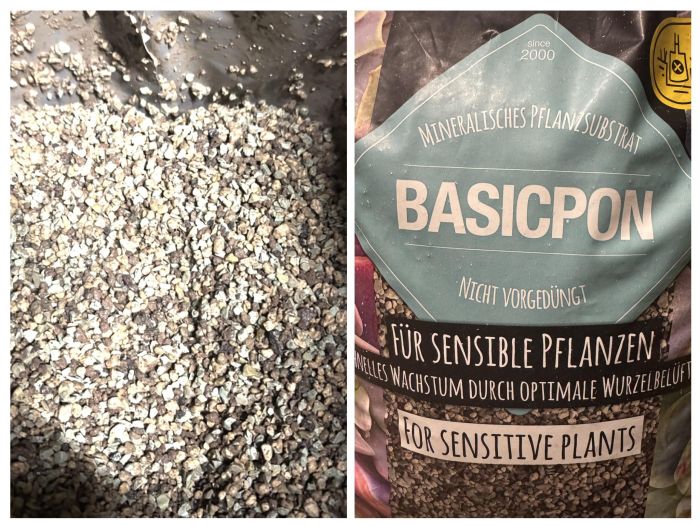 Лечуза Basic PON