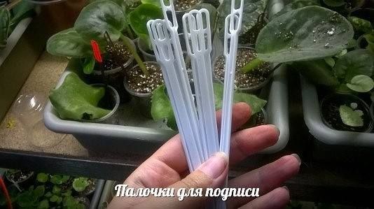 Палички для підпису