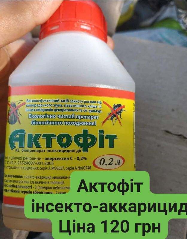 Актофіт