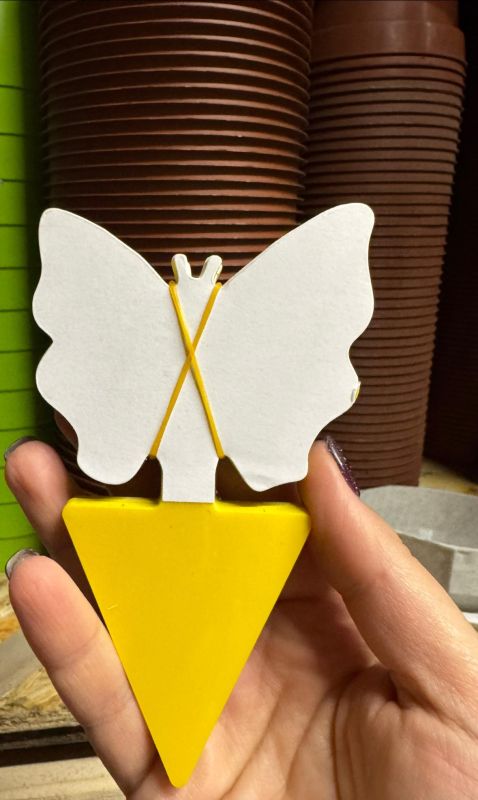 Липкі пастки від дрібних комашок