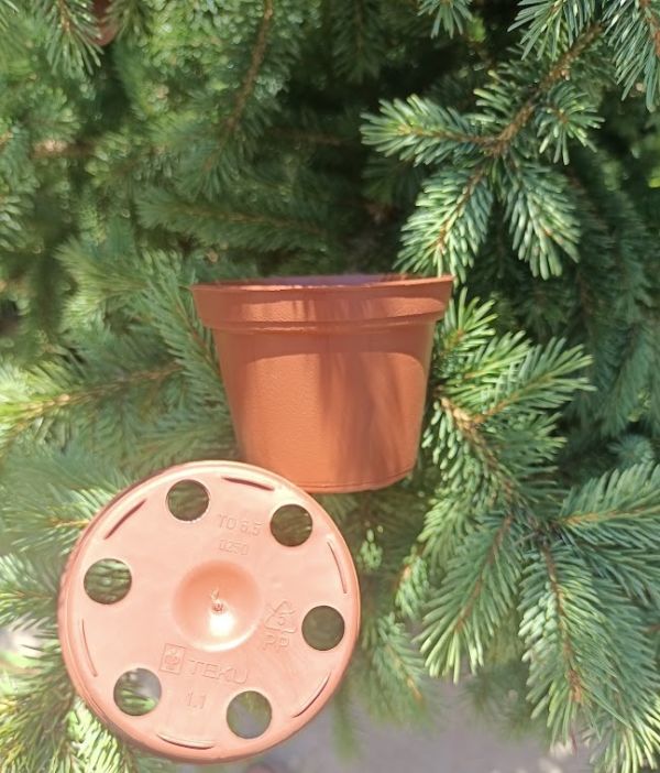 Горщик пластиковий Teku D6,5