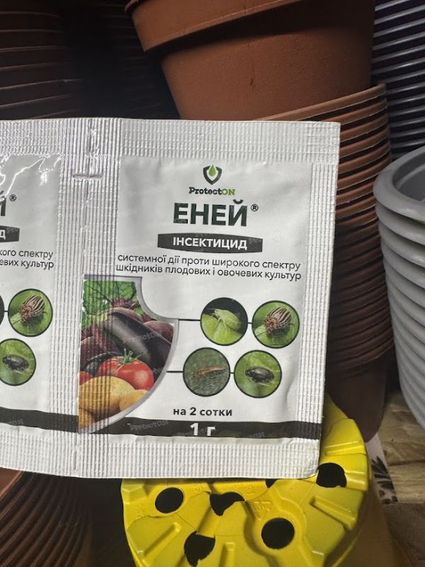 Еней, 1 г