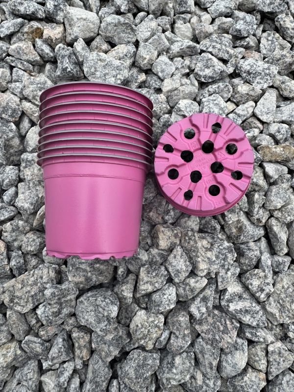 Горщик кольоровий TEKU  D9, кольори в асортименті